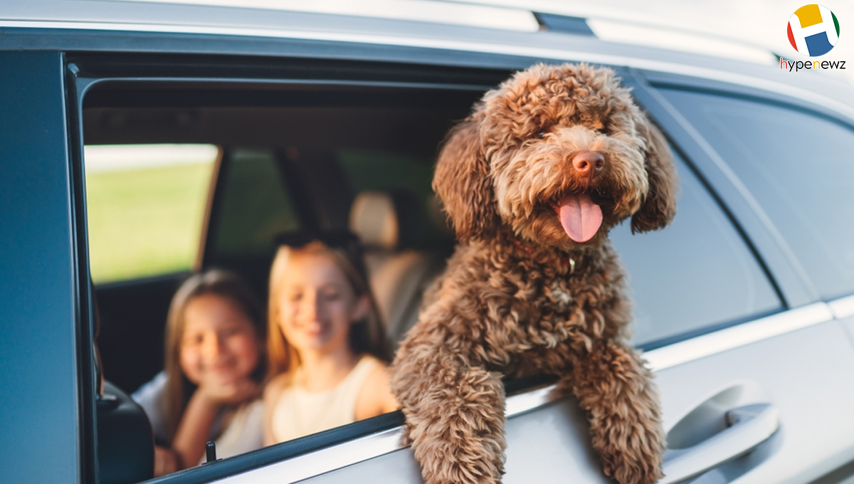 dog friendly vacations